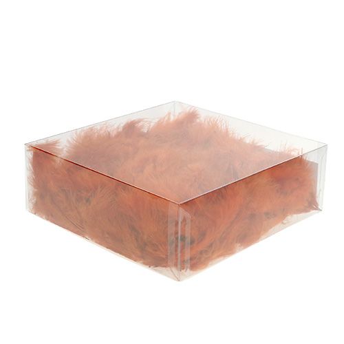 Floristik24 Spring short dark orange 30g