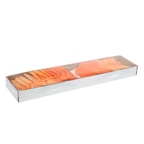 Floristik24 Feather butterfly 8cm orange 24pcs
