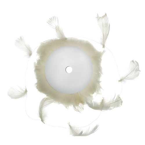 Feathers on wire Cream 10m