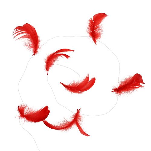 Floristik24 Feathers on wire Red 10m