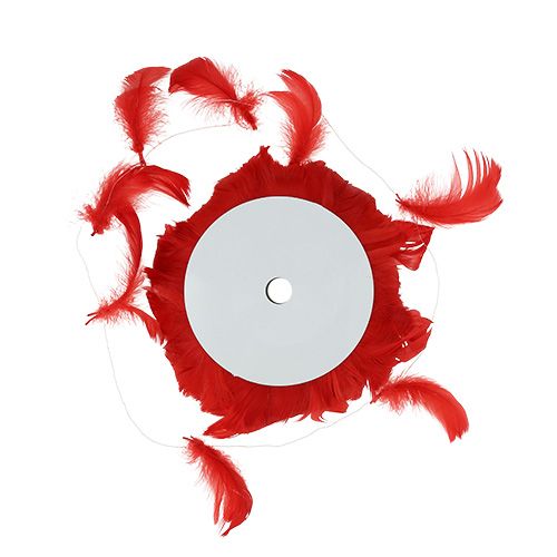 Floristik24 Feathers on wire Red 10m