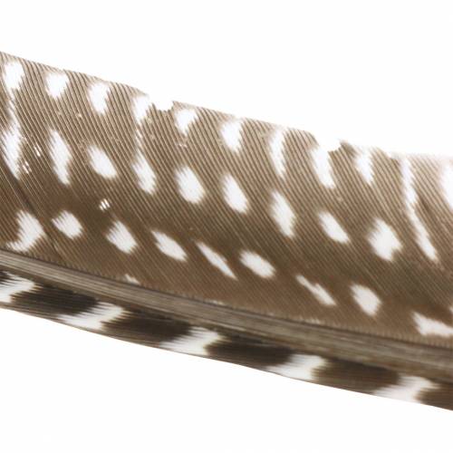 Product Feathers natural 18 - 24cm 10g