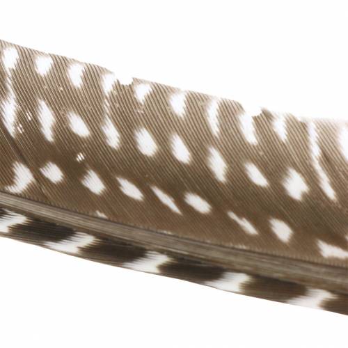 Floristik24 Feathers natural 18 - 24cm 10g