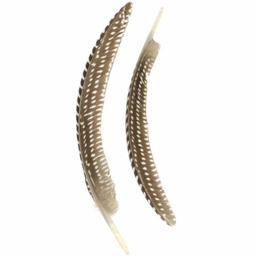 Floristik24 Feathers natural 18 - 24cm 10g