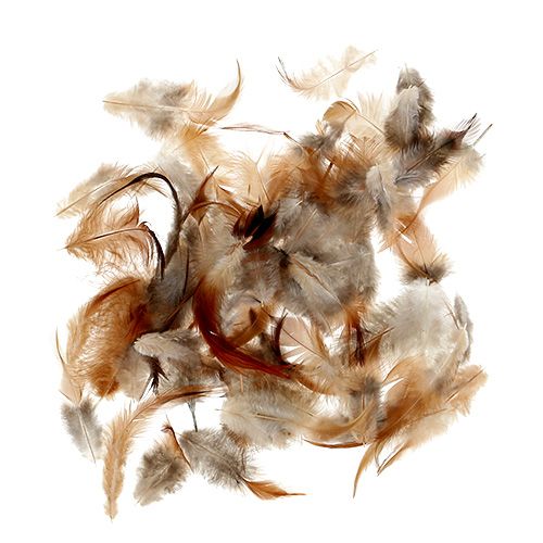 Floristik24 Feather sort. 5-15cm nature 228pcs