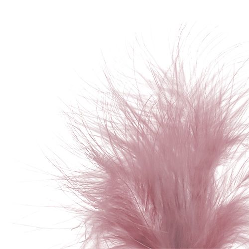 Floristik24 Feather to plug in light pink L30cm 12pcs