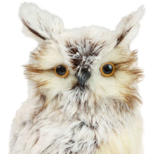 Product Owl decoration owl figures, forest animals decoration 21/22cm white-brown set of 2
