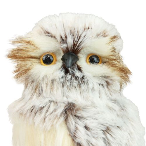 Product Owl decoration owl figures, forest animals decoration 21/22cm white-brown set of 2