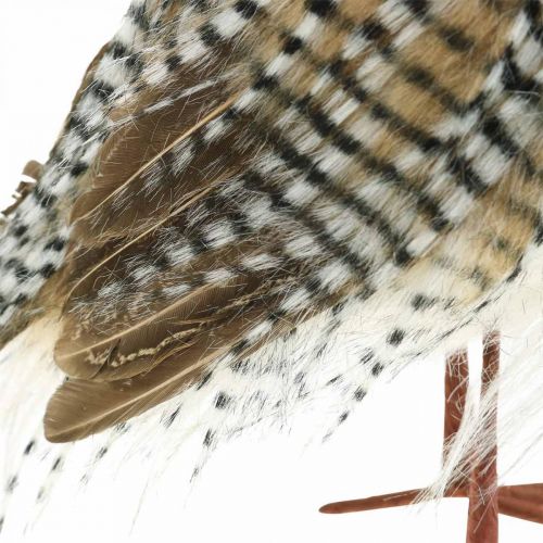 Product Decorative owl, autumn, forest animal, winter decoration H27cm
