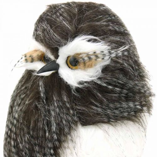 Floristik24 Forest owl, winter decoration, decorative owl, autumn H41cm
