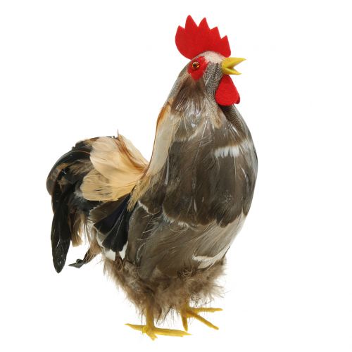 Product Easter decoration cock and hen with feathers natural H26cm set of 2