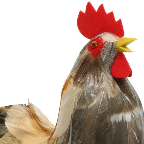 Floristik24 Easter decoration cock and hen with feathers natural H26cm set of 2