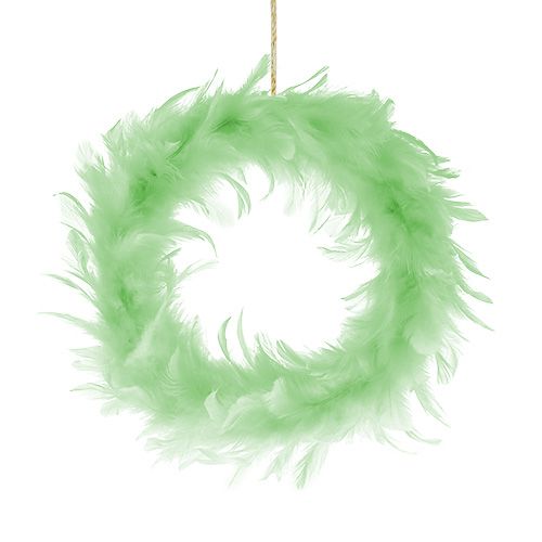 Floristik24 Feather Wreath Llight Green Ø15cm 4pcs