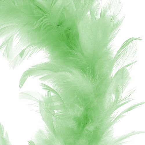 Product Feather Wreath Llight Green Ø15cm 4pcs