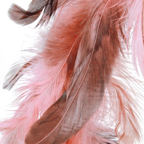 Product Feather wreath made of pheasant feathers decoration in pink Ø20cm 3 pcs
