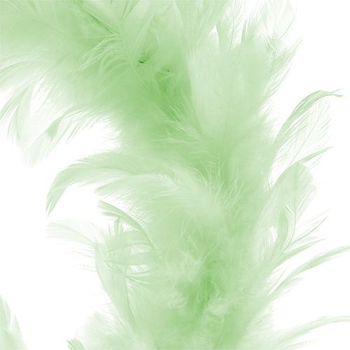 Product Feather Wreath Light Green Ø20cm 3pcs