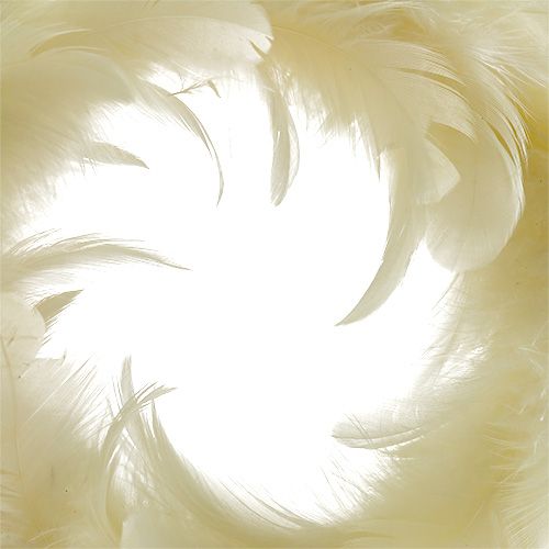 Product Wreath of feathers Ø15cm cream 4pcs