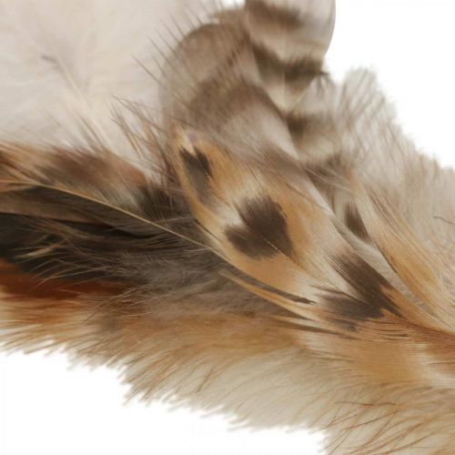 Product Feather wreath decoration feathers natural Easter decoration Ø15cm 4 pieces