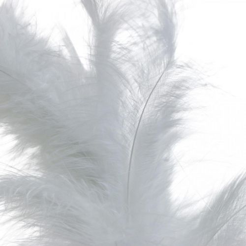 Product Feather Wreath White Ø20cm Deco Wreath Spring Real Feathers 3pcs