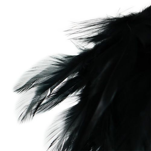 Floristik24 Feather ball Ø10cm black to hang