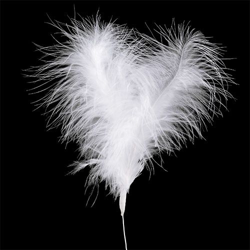 Product Feathers on Wire L27cm White 6 pcs