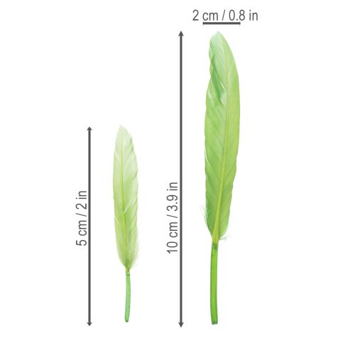 Product Decorative feathers for a stylish ambiance and impressive decorations 10cm