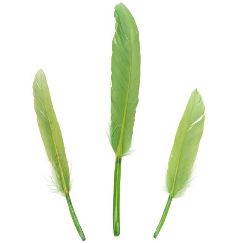 Product Decorative feathers for a stylish ambiance and impressive decorations 10cm