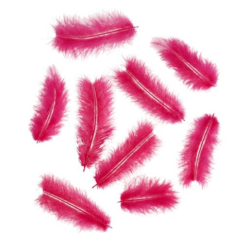 Floristik24 Feathers short 30g Fuchsia