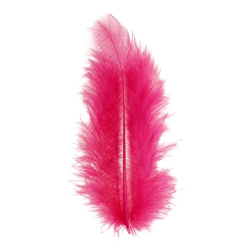 Floristik24 Feathers short 30g Fuchsia