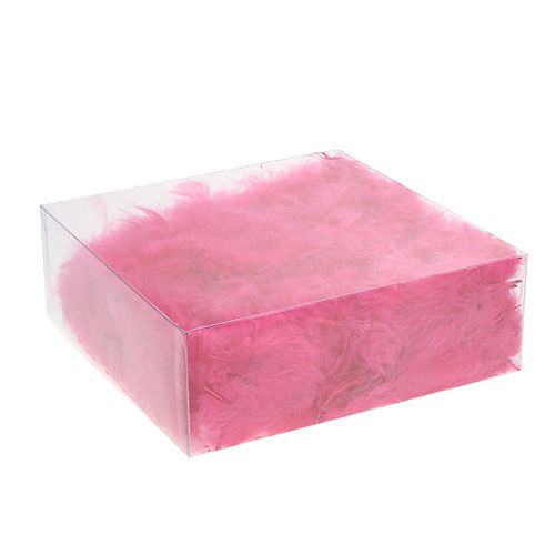 Floristik24 Feathers short 30g Fuchsia