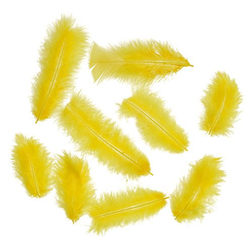 Floristik24 Feathers 30g golden yellow