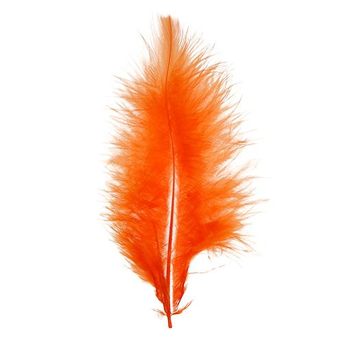 Product Feathers short 30g Orange