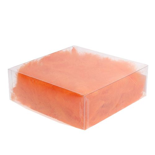 Product Feathers short 30g Orange