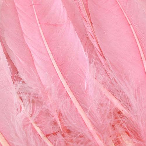Product Feathers for crafting Pink goose feathers 18cm – 20cm 20g x 2pcs