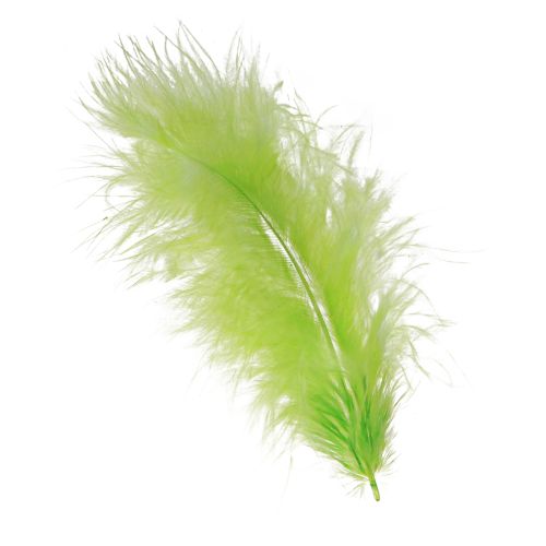 Feathers for crafting in light green feather decoration 5–10cm 20g