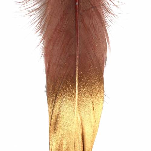 Floristik24 Feathers Burgundy, Gold 18-23cm 24 pcs