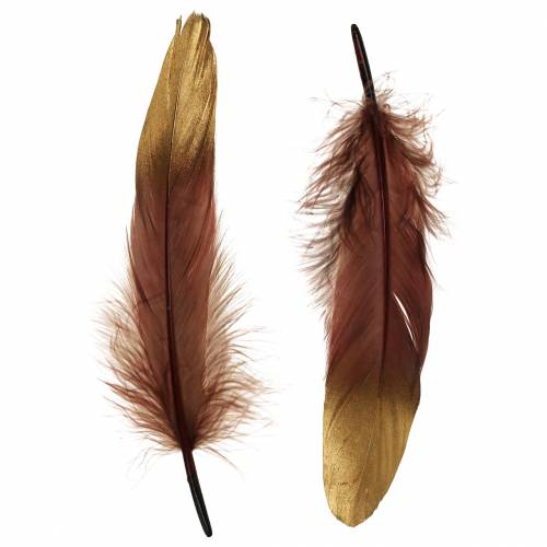 Feathers Burgundy, Gold 18-23cm 24 pcs