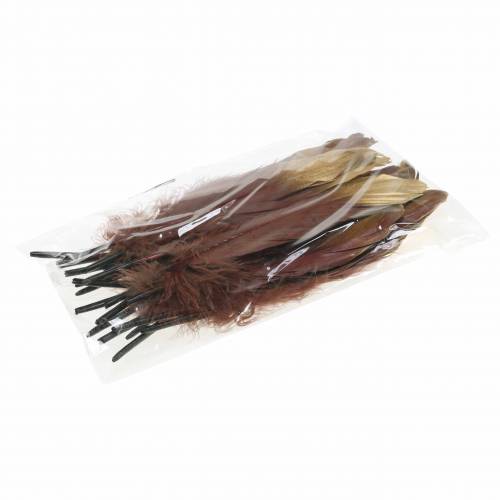 Floristik24 Feathers Burgundy, Gold 18-23cm 24 pcs