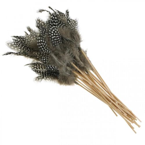 Product Decorative feathers dotted on stick Real guinea fowl feathers 4-8cm 24 pcs