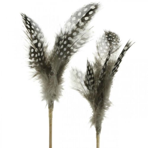 Product Decorative feathers dotted on the stick real guinea fowl feathers 4-8cm 24pcs