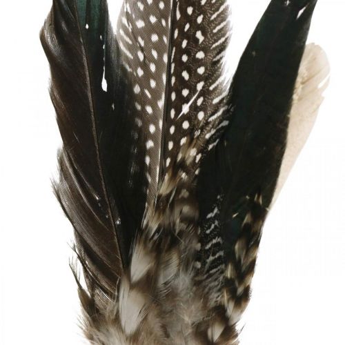 Product Plume on metal spring Spring decoration Real feathers 25cm 5pcs