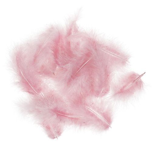 Floristik24 Feathers short 30g pink