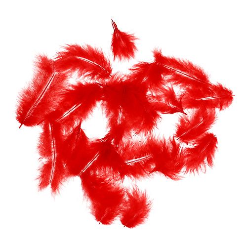 Floristik24 Feathers short 30g red