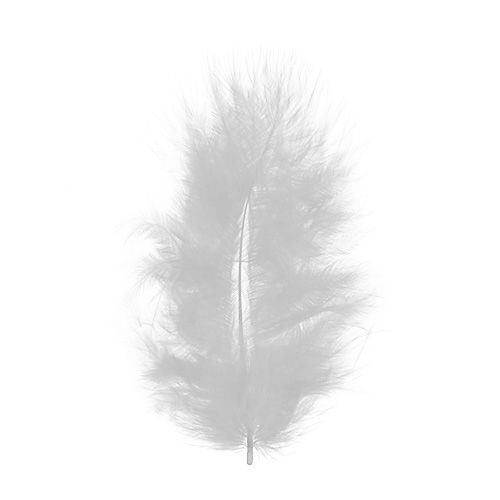 Floristik24 Feathers short 30g white