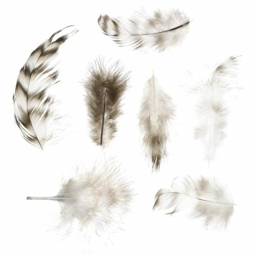 Feathers natural 5.5 - 10cm 10g