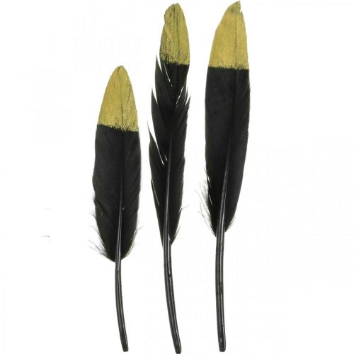 Product Decorative feathers black, gold real feathers for crafts 12-14cm 72pcs