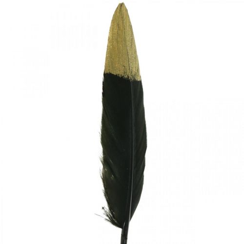 Product Decorative feathers black, gold real feathers for crafting 12-14cm 72 pcs