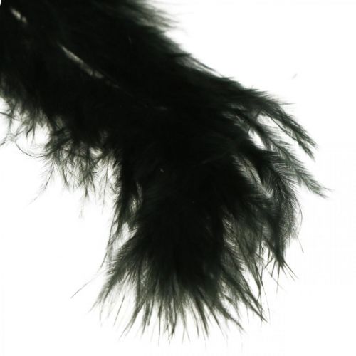 Product Feathers Black Real bird feathers for crafting Spring decoration 20g