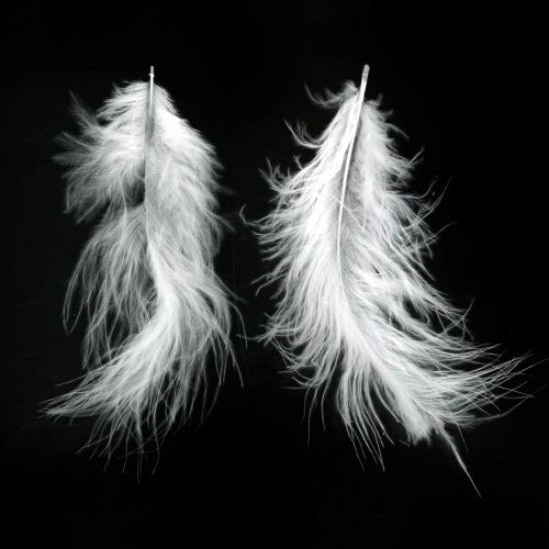 Product Feathers White Real bird feathers for decorating Easter decorations 20g