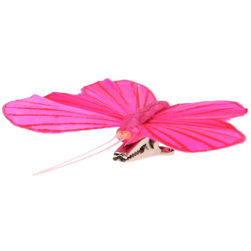 Floristik24 Feather butterfly on clip colorful 6cm 12pcs